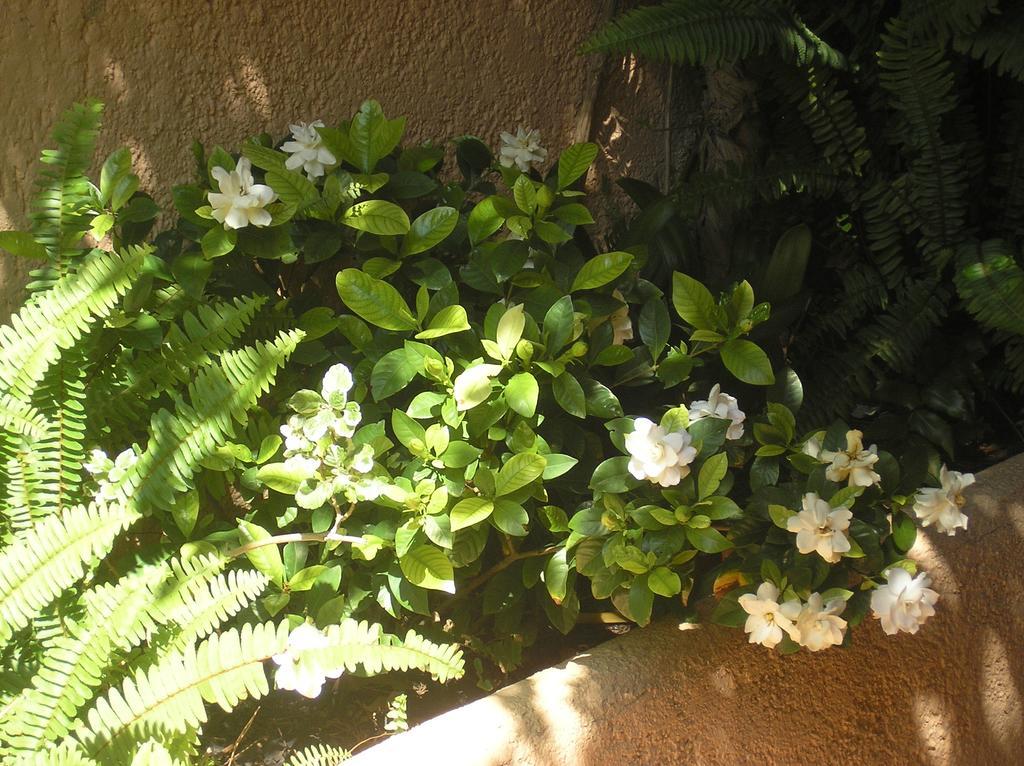 Altea Hills Villa Casablanca 23 外观 照片